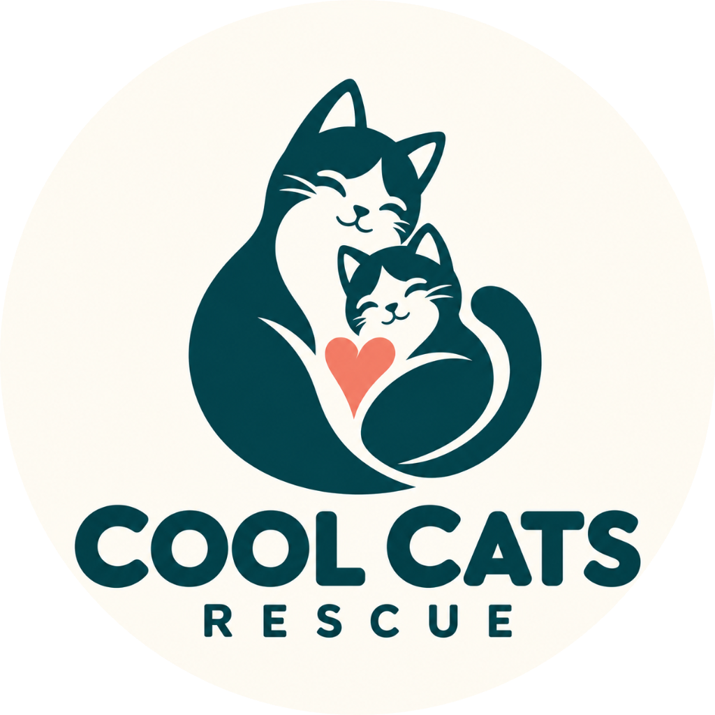 Cool Cats Rescue AZ